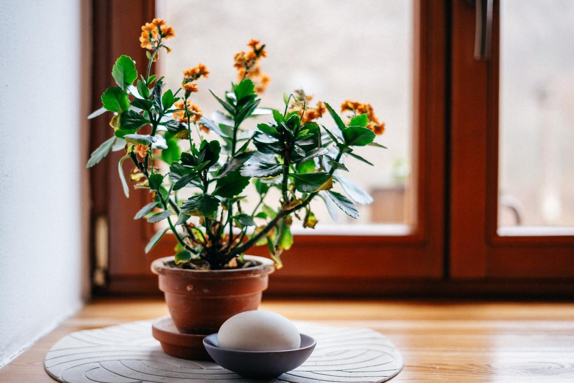 Apartmán Apartmán Na Náměstí Stárkov Exteriér fotografie